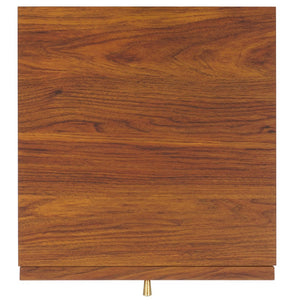 Safavieh Aino 1 Drawer Nightstand Walnut NST9606A