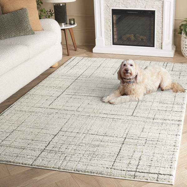 Safavieh Northport Ivory Charcoal Area Rug 6'7"X9'6" Power‑Loomed Turkey Plush 3/4" Pile Durable Polyester Blend NTP420A-6