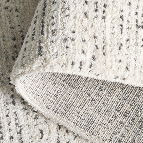 Safavieh Northport 422a Ivory / Charcoal Ivory ,Charcoal 55% Polyester,45% Polypropylene Ntp422a-5