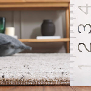 Safavieh Northport 426a Ivory / Charcoal Ivory ,Charcoal 55% Polyester,45% Polypropylene Ntp426a-9