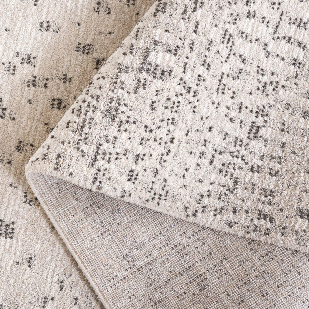 Safavieh Northport 426a Ivory / Charcoal Ivory ,Charcoal 55% Polyester,45% Polypropylene Ntp426a-9