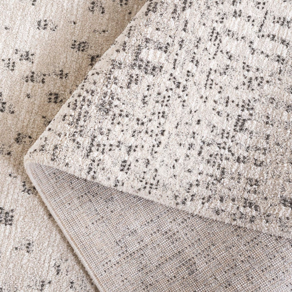 Safavieh Northport 426a Ivory / Charcoal Ivory ,Charcoal 55% Polyester,45% Polypropylene Ntp426a-9