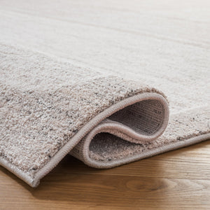 Safavieh Northport Elegant Turkish Area Rug With Luxurious Pile Height For Modern Home Decor Upgrade Ivory ,Grey 55% Polyester,45% Polypropylene Ntp428a-8