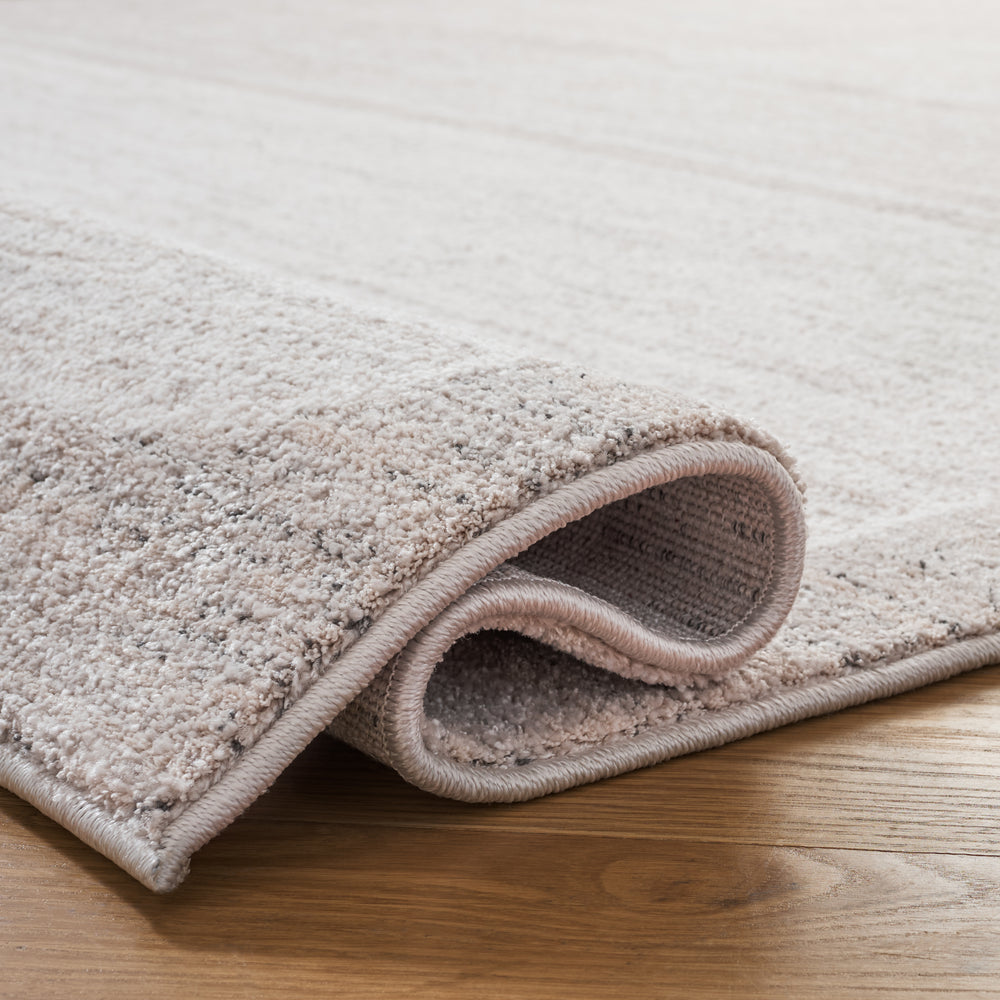 Safavieh Northport Modern Runner Rug For Hallways - Elegant, Durable, And Stylish Home Décor Solution Ivory ,Grey 55% Polyester,45% Polypropylene Ntp428a-24