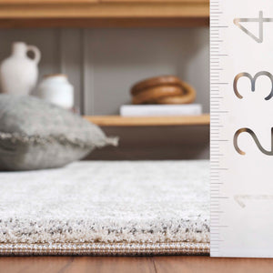 Safavieh Northport 430a Ivory / Dark Grey Ivory ,Dark Grey 55% Polyester,45% Polypropylene Ntp430a-5