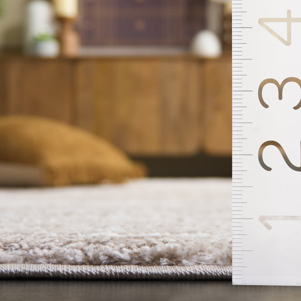 Safavieh Northport Contemporary Area Rug - Chic Taupe And Ivory Design, Perfect For Living Spaces And Bedrooms Taupe ,Ivory 65% Polypropylene,35% Polyester Ntp802e-4