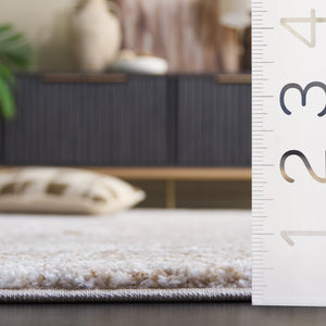 Safavieh Northport Contemporary Area Rug – Modern Elegance In Taupe And Ivory For Any Room Decor Taupe ,Ivory 65% Polypropylene,35% Polyester Ntp804e-5