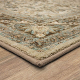 Euphoria Newbridge Sand Stone Area Rug 90262 471 030120 IP Karastan Rugs Mohawk