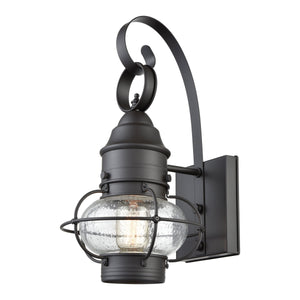 Atlas Onion Seeded Globe Outdoor Wall Sconce Oil Rubbed Bronze Cage Lantern Patio Light OL11197-BZ