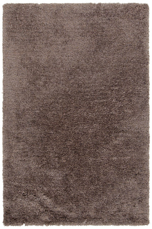 Chandra Rugs Hand-tufted Shag Rug - Luxurious, Plush Texture & Artisanal Craftsmanship For Cozy Elegance In Any Room Taupe Polyester,Cotton Oon43501-576