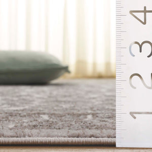 Safavieh Orchard Exquisite Contemporary Area Rug – Premium Turkish Craftsmanship In Elegant Ivory & Silver Ivory ,Silver Polyester Orc216a-5