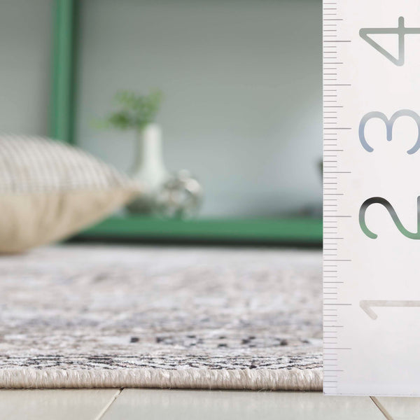 Safavieh Orlando Elegant Power Loomed Area Rug With Timeless Oriental Design For Hallway And Corridor Use Taupe ,Beige 70% Felt,25% Velvet,5% Laminated Film Orl766e-5