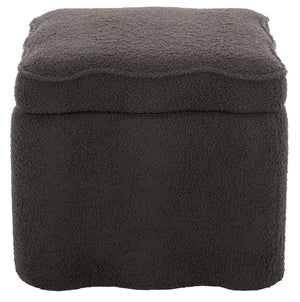 Emmie Square Storage Ottoman With Lift-Top Concealed Compartment, Plush Foam Seating & Modern Look