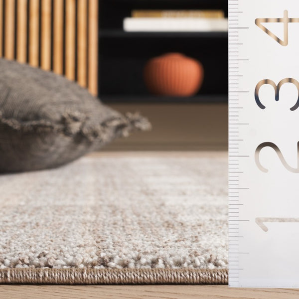 Safavieh Oxford Plaids Tonal Grey Power Loomed Polyester Area Rug for Farmhouse Living Rooms Light Grey / Grey OXP304F-6