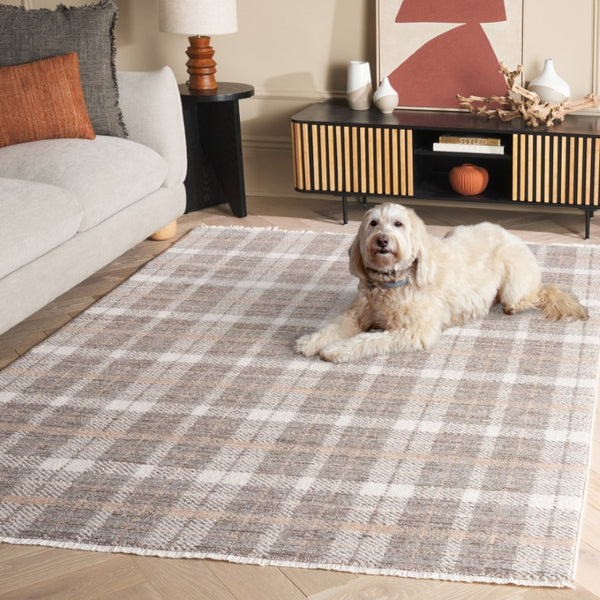 Safavieh Oxford Plaids Tonal Grey Power Loomed Polyester Area Rug for Farmhouse Living Rooms Light Grey / Grey OXP304F-6