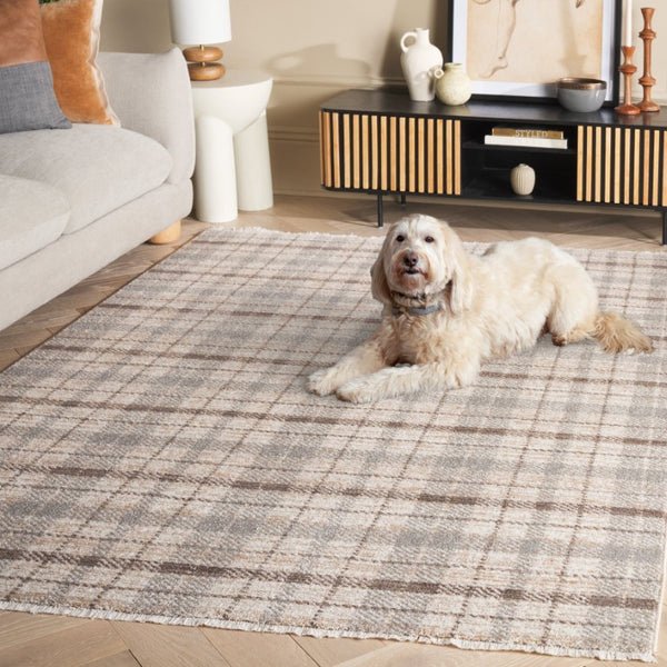 Safavieh Oxford Plaids Tonal Grey Power Loomed Polyester Area Rug for Farmhouse Living Rooms Grey / Beige OXP304G-6