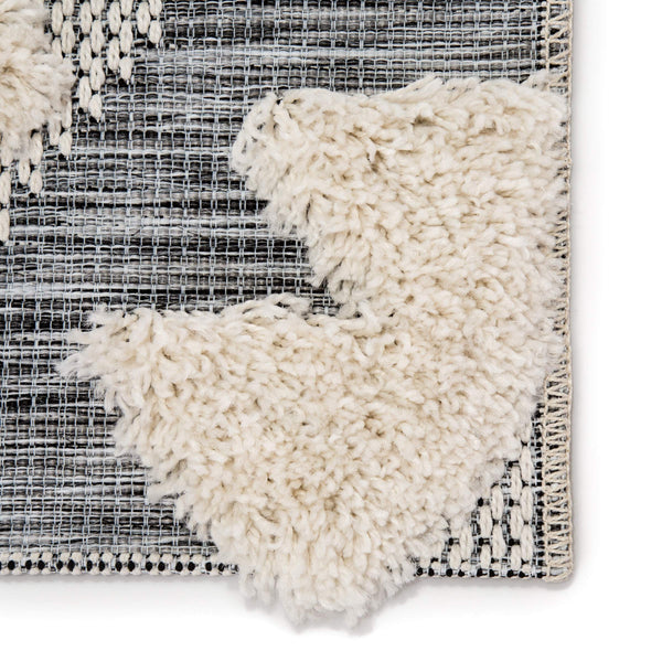 Jaipur Living Jaipur Living Makaya Kilim Flatweave Geometric Rug for Indoor Outdoor Spaces 7'10"X10'10" RUG142902
