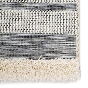 Jaipur Living Jaipur Living Hanai Kilim Flatweave Rug Tribal Geometric Bohemian Indoor Outdoor 8'9"X12'5" RUG142908