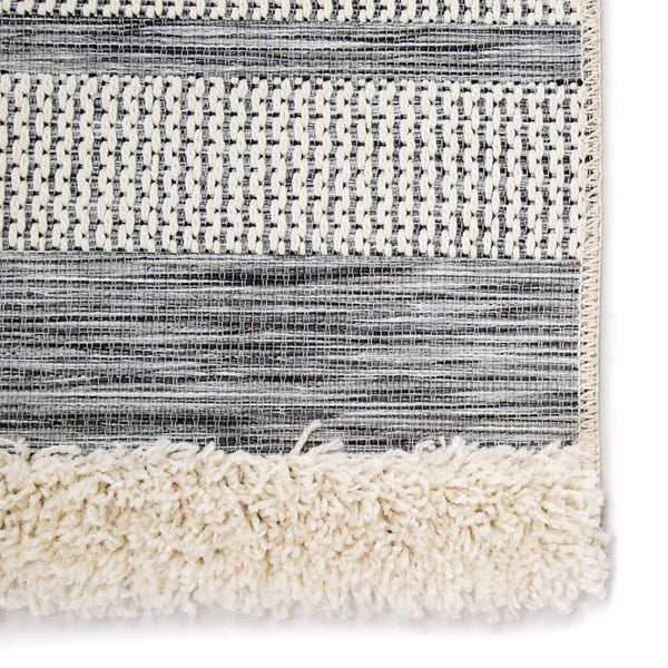 Jaipur Living Jaipur Living Hanai Kilim Flatweave Rug Tribal Geometric Bohemian Indoor Outdoor 8'9"X12'5" RUG142908