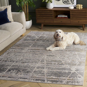 Safavieh Palma Modern Grey And Gold Area Rug — Low-Profile, Stain-Resistant Power-Loomed Design From Turkey 4'-0" x 6'-0" PAM370F-4