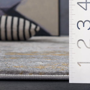 Safavieh Palma Refined Grey And Gold Area Rug —Power-Loomed Turkish Design, Durable Low-Maintenance Texture, Versatile Style 4'-0" x 6'-0" PAM372G-4