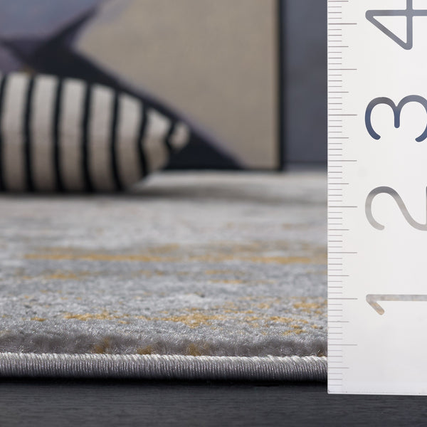 Safavieh Palma Refined Grey And Gold Area Rug —Power-Loomed Turkish Design, Durable Low-Maintenance Texture, Versatile Style 4'-0" x 6'-0" PAM372G-4