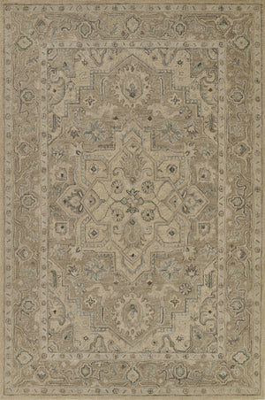 Momeni Pasha PSH-1 Hand Tufted Traditional Medallion Indoor Rug Taupe 8' x 10'