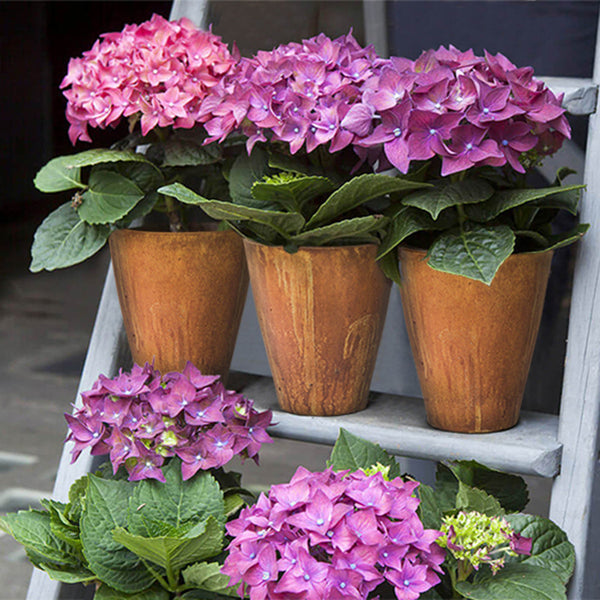 Lh Imports Rustic Medium Vase - Exquisite Limestone Decor For Elegant Home Beautification And Style Brown Limestone Pat038m-co