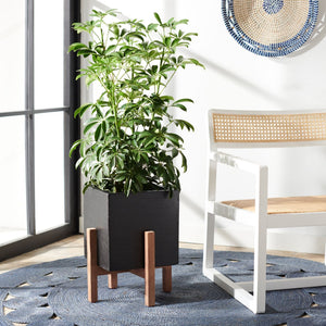 Safavieh BORSLA Planter - Modern Concrete Cube with Acacia Legs for Stylish Outdoor & Indoor Decor Black PAT1512A