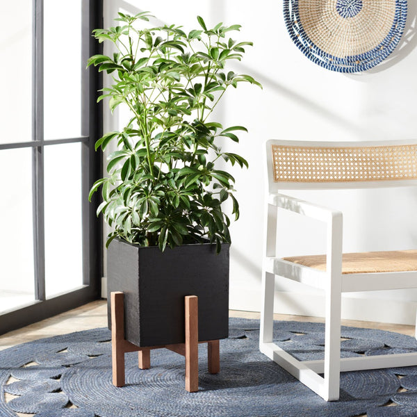Safavieh BORSLA Planter - Modern Concrete Cube with Acacia Legs for Stylish Outdoor & Indoor Decor Black PAT1512A