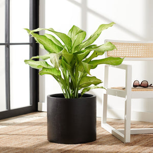 Safavieh ALIA Planter - Stylish Sandy Beige Accent for Indoor & Outdoor Decor, Durable Ficonstone Design Black PAT1516A