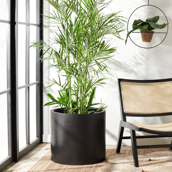 Safavieh ALIA Planter in Black Stone - Modern Minimalist Vessel for Indoor/Outdoor Plant Display and Decor PAT1517A