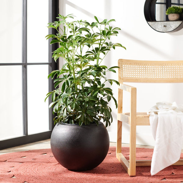 Safavieh KENSLIA PLANTER - Timeless Ceramic Design for Outdoor Spaces, Perfect for Vibrant Blooms and Foliage Black PAT1518A