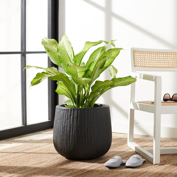 Safavieh FRANCIA Planter - Durable Concrete Vessel with Bark-Like Texture for Timeless Outdoor Elegance Black PAT1523A