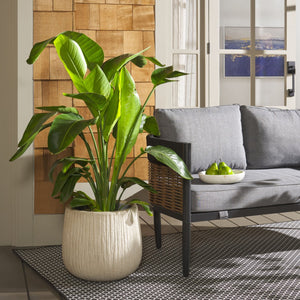 Safavieh FRANCIA Planter - Durable Concrete Vessel with Bark-Like Texture for Timeless Outdoor Elegance Beige PAT1523B