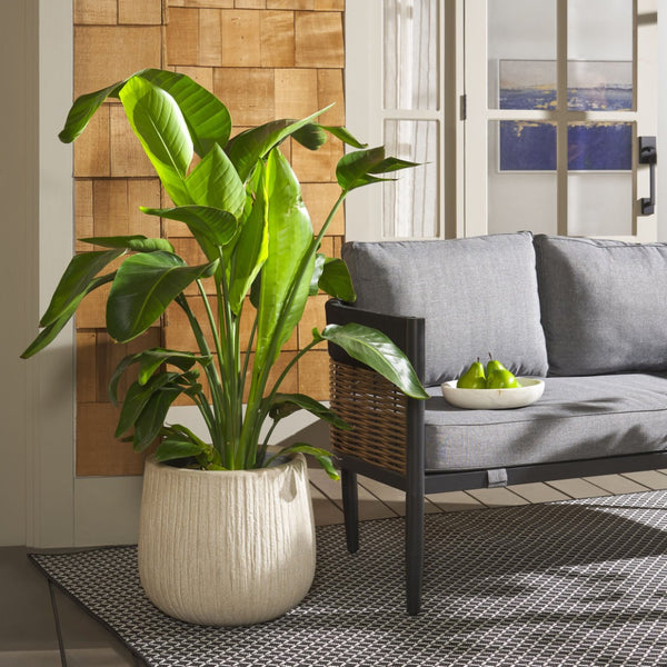 Safavieh FRANCIA Planter - Durable Concrete Vessel with Bark-Like Texture for Timeless Outdoor Elegance Beige PAT1523B