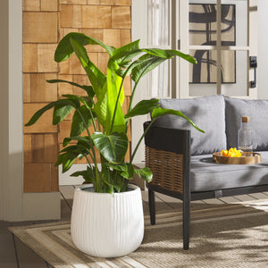 Safavieh Francia Planter - Timeless Antique Finish With Bark Texture For Stunning Outdoor Decor & Style White Concrete Ficonstone Pat1523c