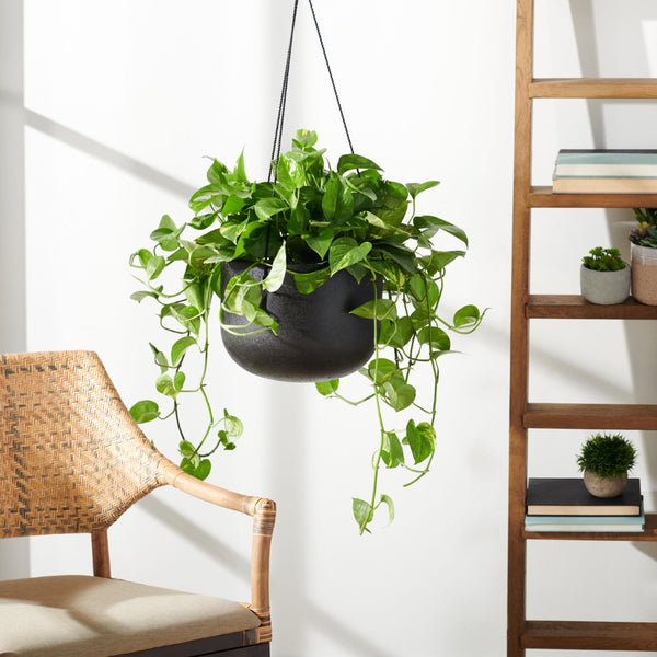 Safavieh RANCER Planter - Modern Concrete Design with Jute Rope for Indoor/Outdoor Plant Display and Decor Black PAT1527A
