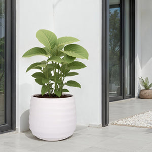 Safavieh Marta Planter Pot - Elegant Black Ficonstone Design For Gardens And Patios, Timeless Appeal White Ficonstone Pat1542c