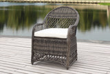 Safavieh Davies Wicker Arm Chair With Cushion Grey/Beige PAT2510A