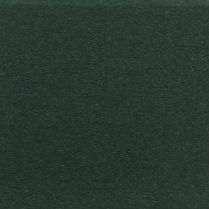 Safavieh All Weather Adirondack Chair - Elegant Outdoor Seating For Stylish Patios, Gardens, And Decks Green  Pat4500d