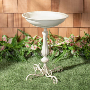 Safavieh ORIAN Victorian-Inspired Bird Bath for Outdoor Spaces – Durable Iron Design with Elegant Accents Pearl White / - PAT5023A