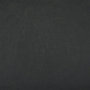 Safavieh Orian Bird Bath Black PAT5023E