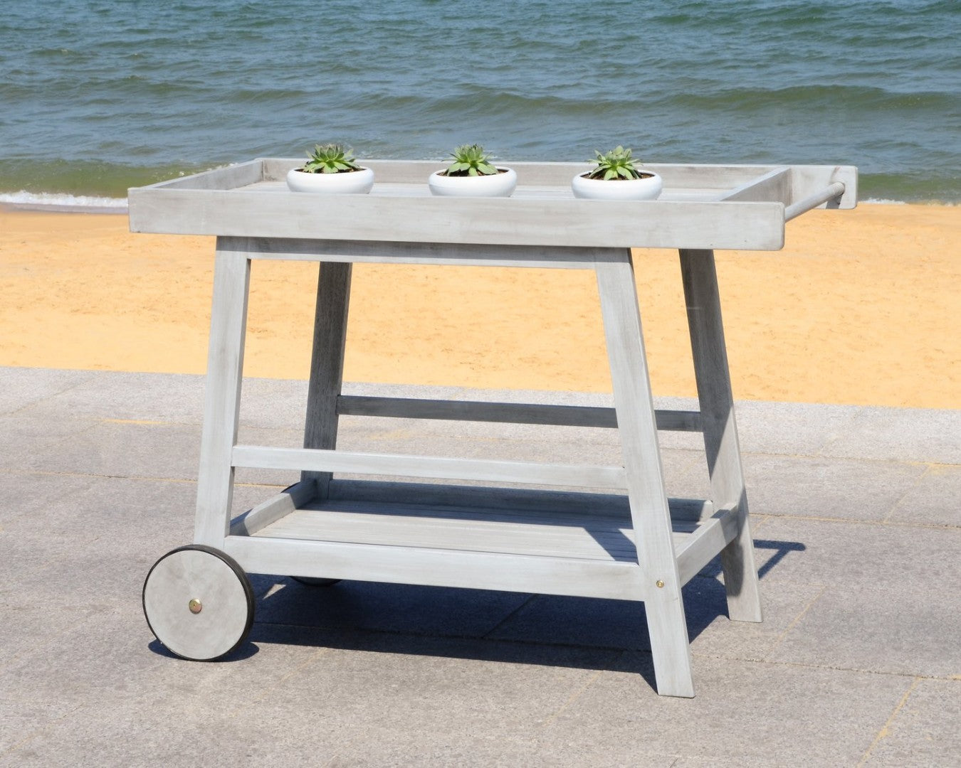 Safavieh Renzo Bar Cart