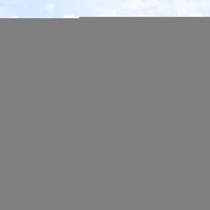 Safavieh Horus Outdoor 5pc Dining Set - Chic Black Table & Plush Beige Cushions For Stylish Patio Decor Black ,Beige Pe Wicker Rattan,Metal,Fabric,Foam,Glass Pat7502a