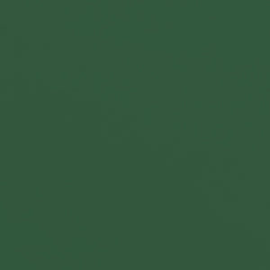 Safavieh ELEGANT Valance 9FT Round Umbrella - Coastal-Inspired Canopy for Stylish Outdoor Shade & Relaxation Hunter Green PAT8006H