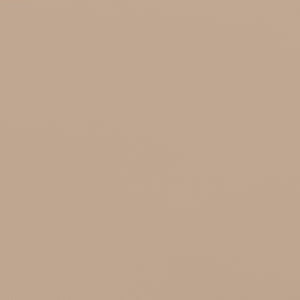 Safavieh CANNES 9FT Wooden Patio Umbrella - Stylish Eucalyptus Frame with Durable Canopy for Outdoor Elegance Beige PAT8009A