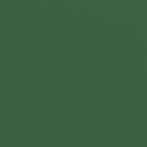 Safavieh CANNES 9FT Wooden Patio Umbrella - Stylish Eucalyptus Frame with Durable Canopy for Outdoor Elegance Hunter Green PAT8009H