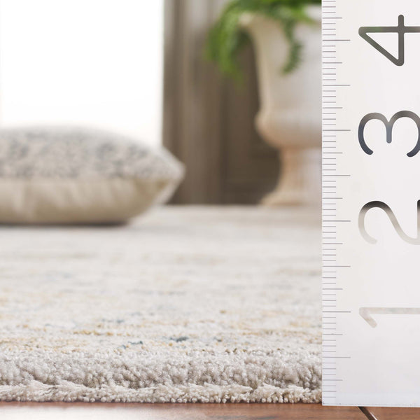 Safavieh Persian Traditional Area Rug - Elegant Grey And Gold Rust Design For Timeless Home Décor Upgrade Grey ,Blue Gold Polyester Per215h-10