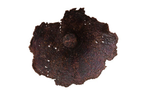Phillips Collection Jagged Splash Bowl Wall Art - Sculptural Metallic Home Décor for Modern Organic Interiors Oxidized Copper Finish PH103662